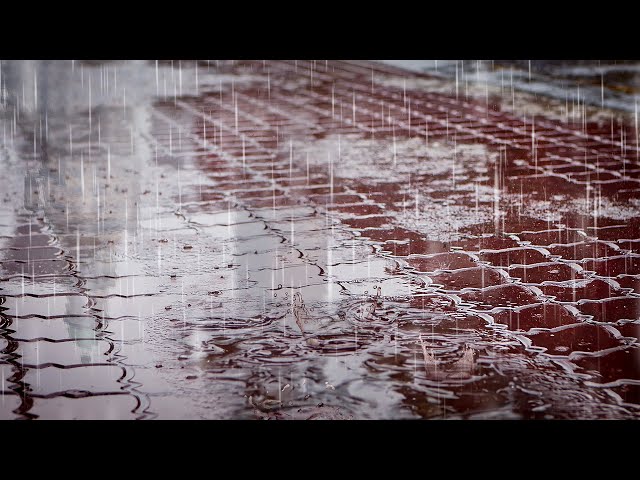 Perfect Rain Sounds For Sleep or Studying | White Noise Nature Rainstorm Audio 10 Hours