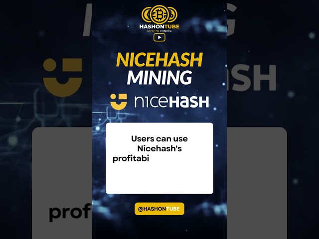 Nicehash Profitability Calculator #crypto #shorts