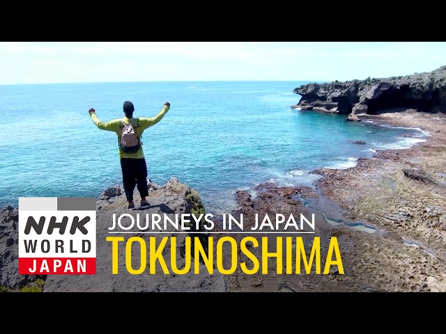 Tokunoshima: Bull Sumo on Subtropical Island - Journeys in Japan