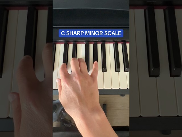 🎵 C sharp Minor Scale 🎵 #csharp #minorscale #musicscales #musictheory #themusiclab101