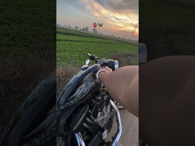 Guess The bike 👀#Shorts