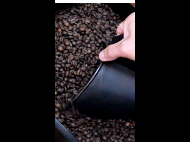 From coffee grains to granular samples 🎹☕ #shorts #granular #synthesis