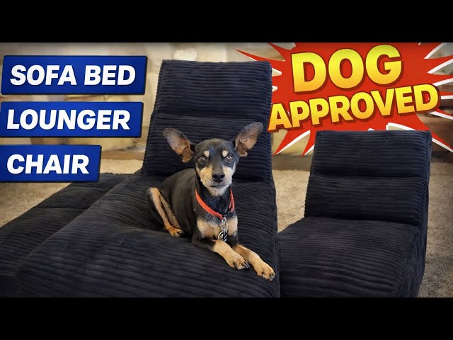 Everyone is talking about this… 3 in 1 compact Sofa bed | small spaces living Mother’s Day gift idea