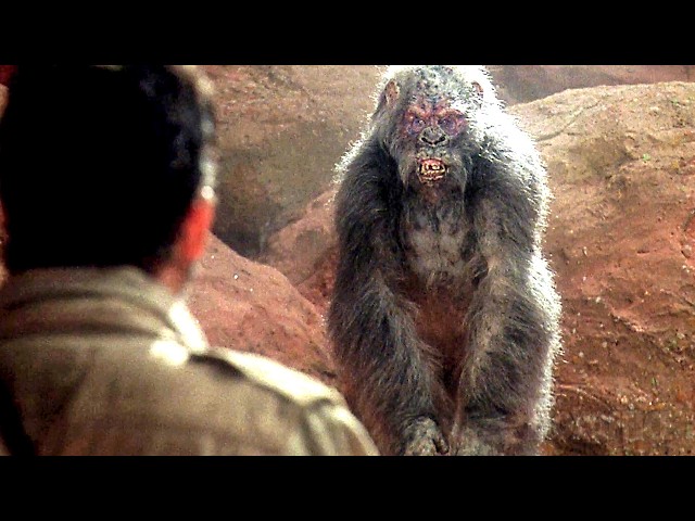 10 men VS 100 Gorillas | Congo | CLIP