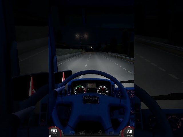 POV: Relaxing Night Drive ASMR 🌙 | Truckers of Europe 3
