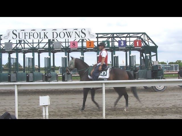 Suffolk Downs in HD - Moving the Starting Gate into Position
