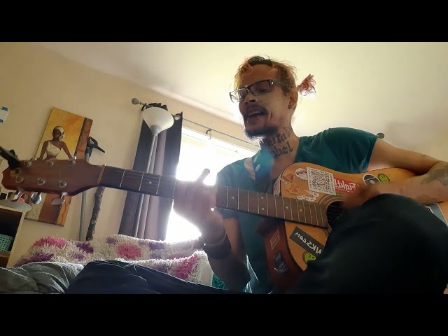 "Needle In The Hay" Elliot Smith Cover by RST (acoustic)