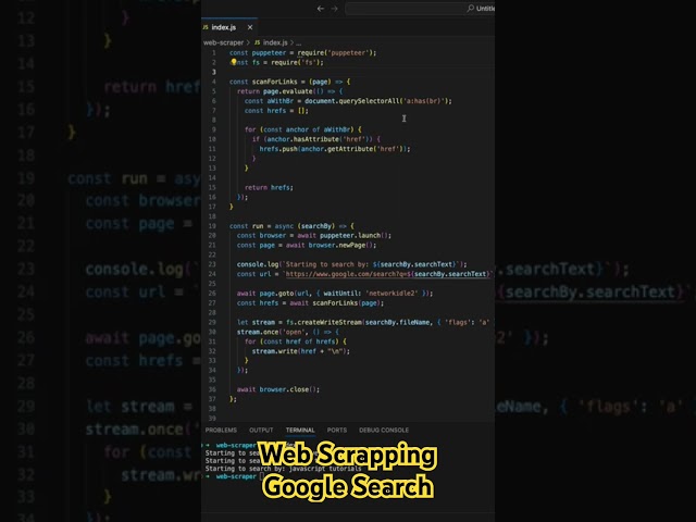 Web Scraping Google Search Results using Node.js & Puppeteer