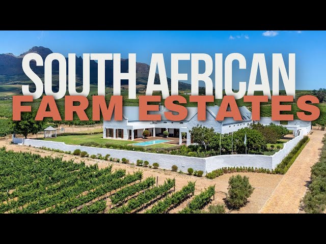 Top South African Farm Estates Where Wine and Nature dwell || Wine Farms || Real Estate