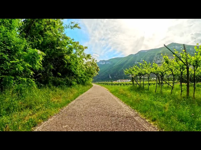 Scenic 4K Ride in Italy | Castles, Vineyards & Lake Garda | No Music, Just Nature