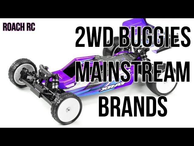 Every 2wd RC Race Buggy (Mainstream Brands)