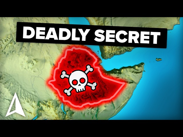 HIDDEN Red Sea Lakes That Instantly Kill Marine Life