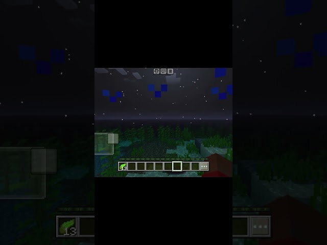 Night swimming view in Minecraft #minecraft #minecraftshorts
