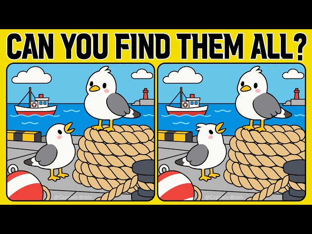Ready to Give Your Brain a Workout? Try These Spot the Difference Puzzles (A Bit Tricky)