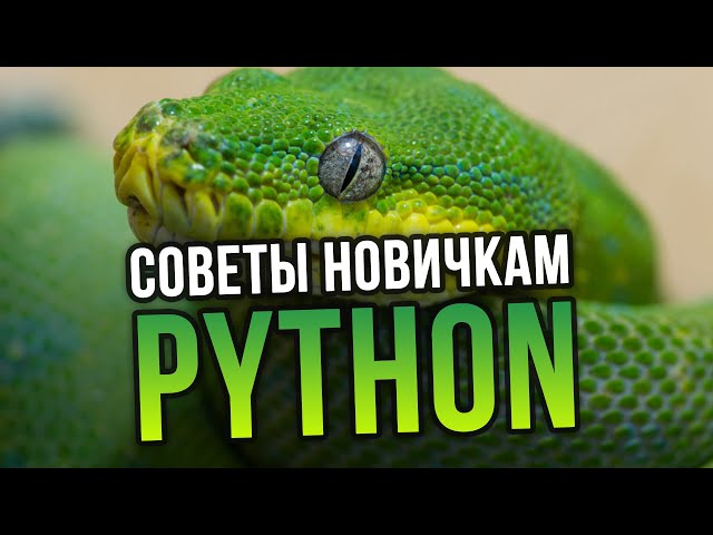 6 советов новичкам в Python