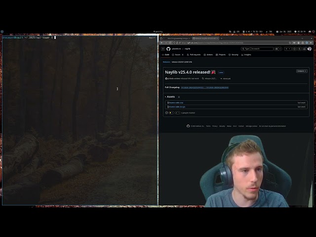 🔴 LIVE - Lets make a game in Nim!