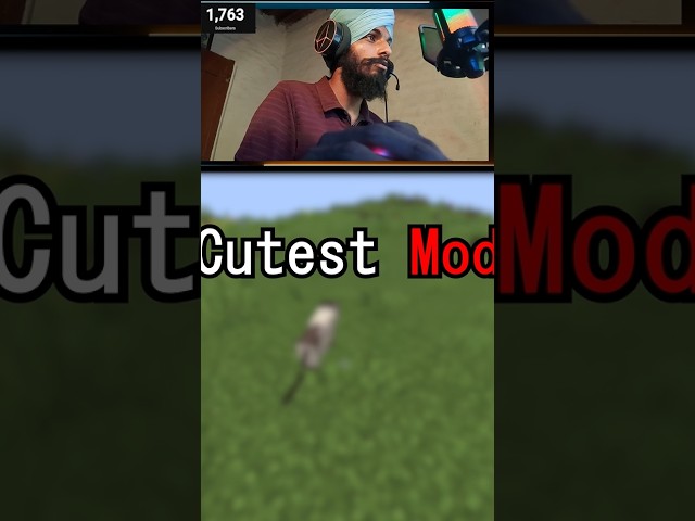 CUTEST CATS EVER 🥹🐱 #minecraft #gaming #youtube #shorts
