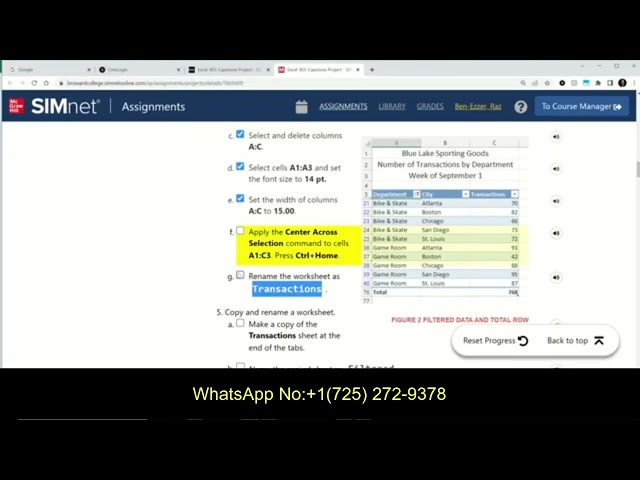 In Practice Excel 365: Application Capstone Project 2 |Step-by-Step SIMnet Solution | Excel Part 1