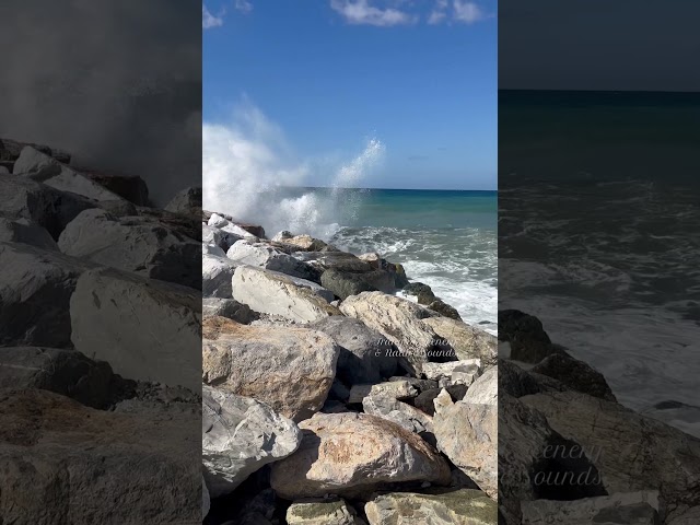Big Sea Waves 🌊Wind & Seagull Sounds #wavesounds  #storm #relaxing #crashingwaves #oceanwavesounds