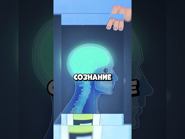 EXPLAINER #73