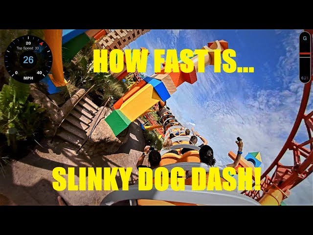 Slinky Dog Dash POV with Speedometer last seat  | Toy Story Land