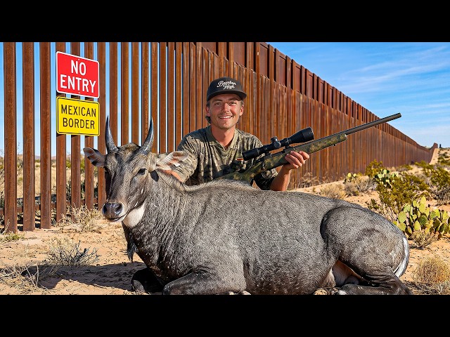 I Went Hunting On The Mexican Border.