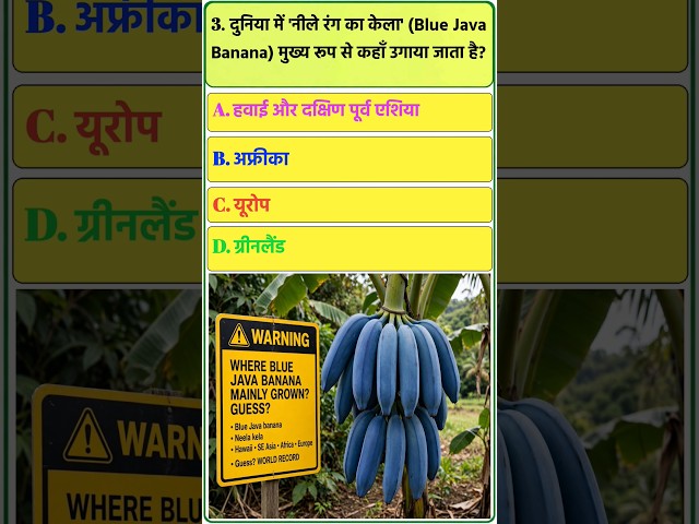 Neela Kela Kabhi Dekha Hai? Safed Kela, Kala Kela, Blue Java Banana | Rarest Banana In World#shorts