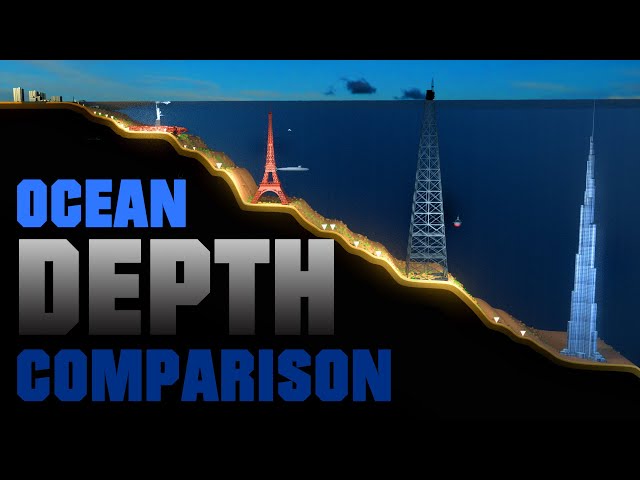 Ocean DEPTH Comparison 🌊 (3D Animation)