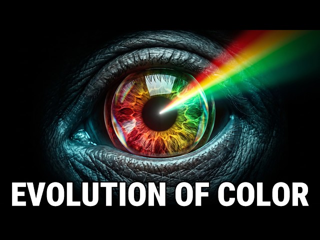 The Invention of Colour — How Life Learned to See | Documentary For Sleep