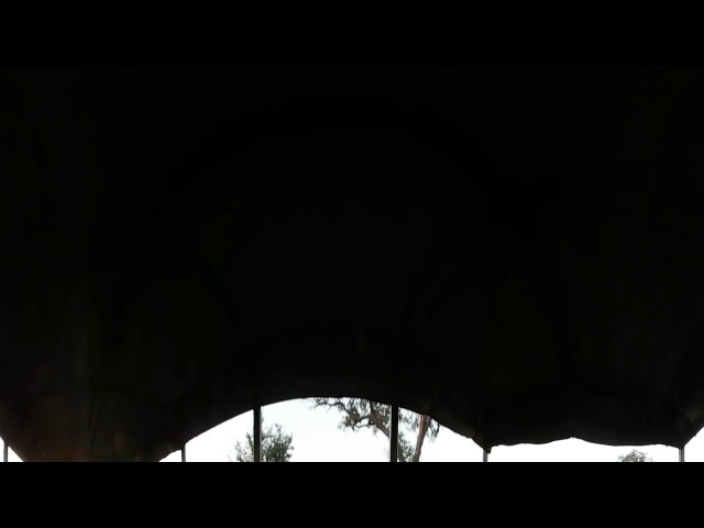Safari @ Krugger: Found our first lion just before buffaloes at 4:00