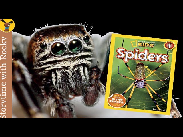 NATIONAL GEOGRAPHIC KIDS READERS: SPIDERS