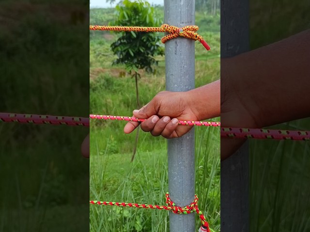 Simple, Strong & Very Useful Knot! 💪🪢