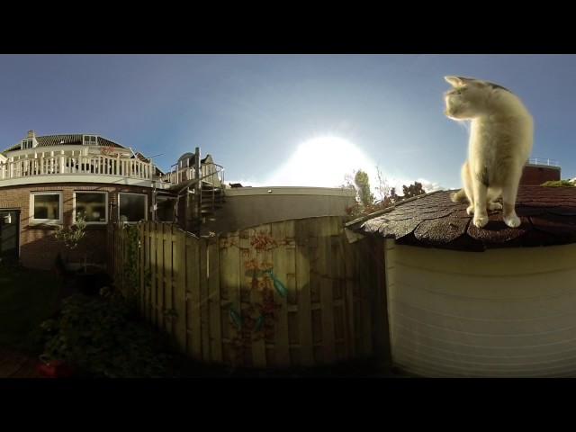 Test 3D filmpje voor VR Bril no.1
