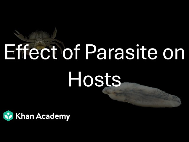 Effect of Parasite on Hosts | Biology in Human Welfare | Class 11 | Zoology | Telangana