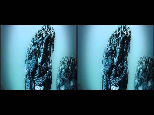 Stereoscopic 3D Fractal: Embryonic Development