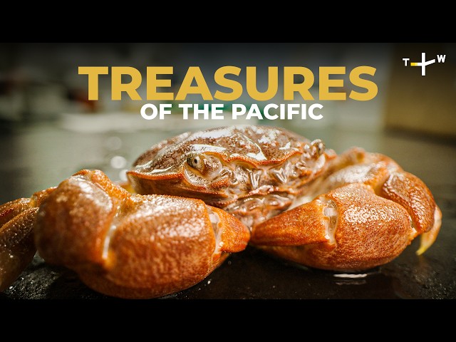 Taiwan’s Outlying Islands are a Hotbed of Biodiversity | Full Nature Documentary