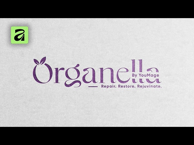 How to Design a Logo  in Affinity 3 | Step by Step