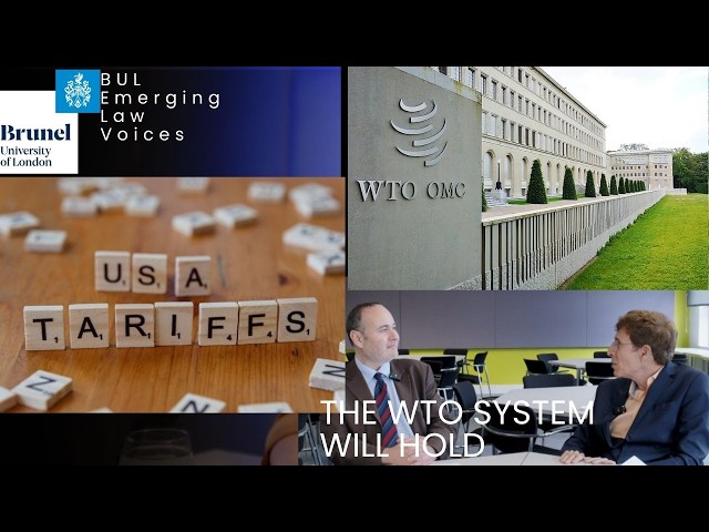 WTO Expert: Why the Trump tariffs WILL NOT dismantle WTO
