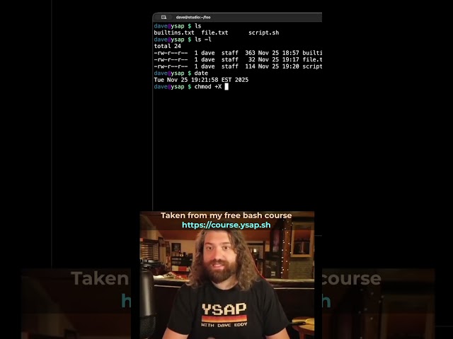 File Permissions: Do We Need Bash?