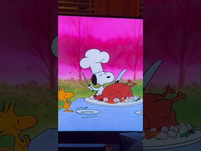 What is really going on in this Charlie Brown Thanksgiving cartoon? WTF?? 😆