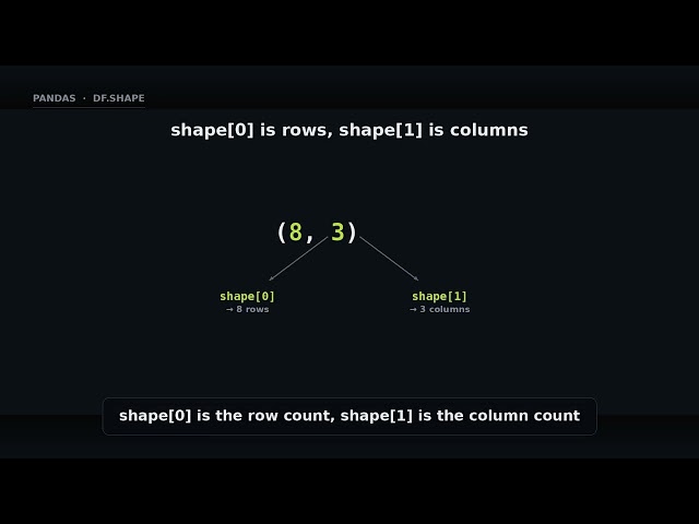 df.shape - rows & columns count