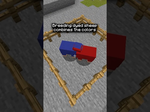 The WILDEST Minecraft Myths Put To The Test #minecraft #shorts
