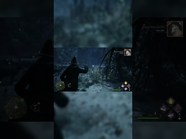 life as a wizard zookeeper part 1