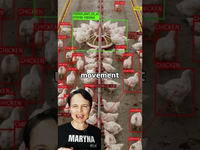 AI for chickens