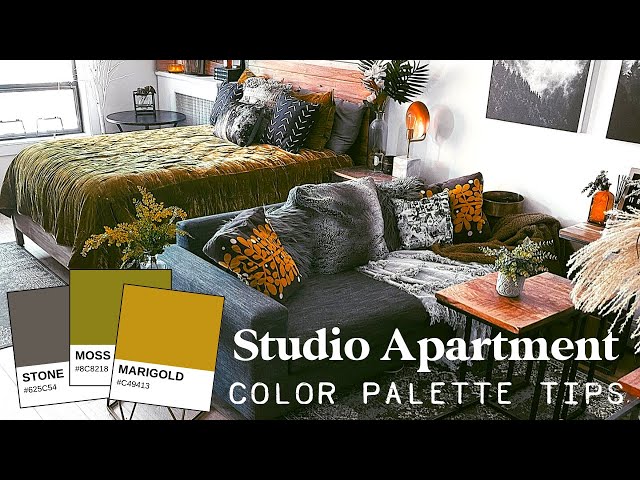 Studio Apartment Color Scheme: How to Create a Cohesive Color Palette