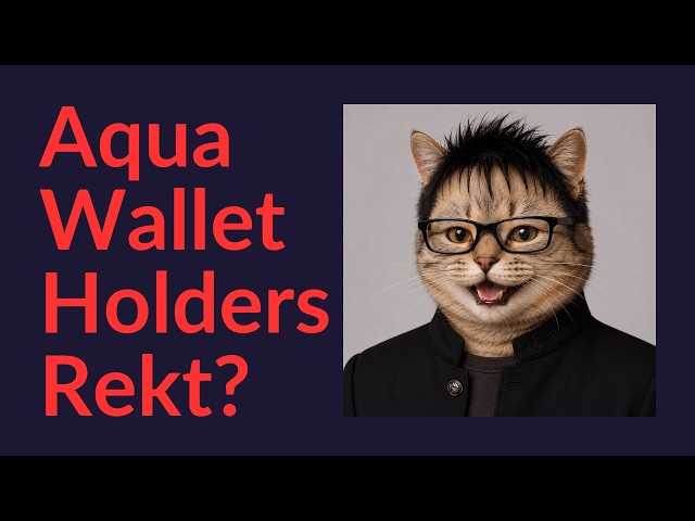 Aqua Wallet Holders Rekt?