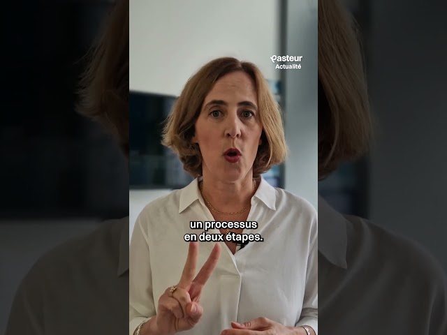 Le coeur inversé