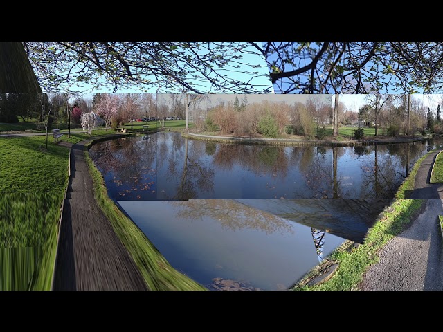 Memorial Park Pond 360 Spring v1 injected