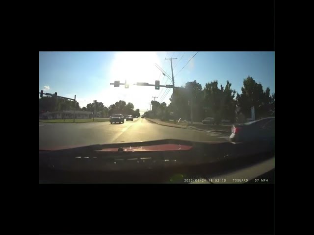 Bad Drivers and peacock in the road