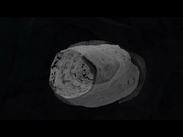 REVEALED: Herculaneum Scrolls First Text: A Vesuvius Challenge Update